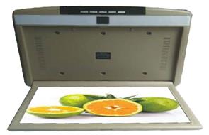 MÀN HÌNH ỐP TRẦN 15 INCH